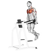 Parallel Bar Dips