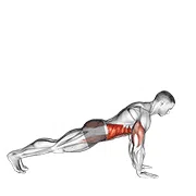 Side Plank Hold